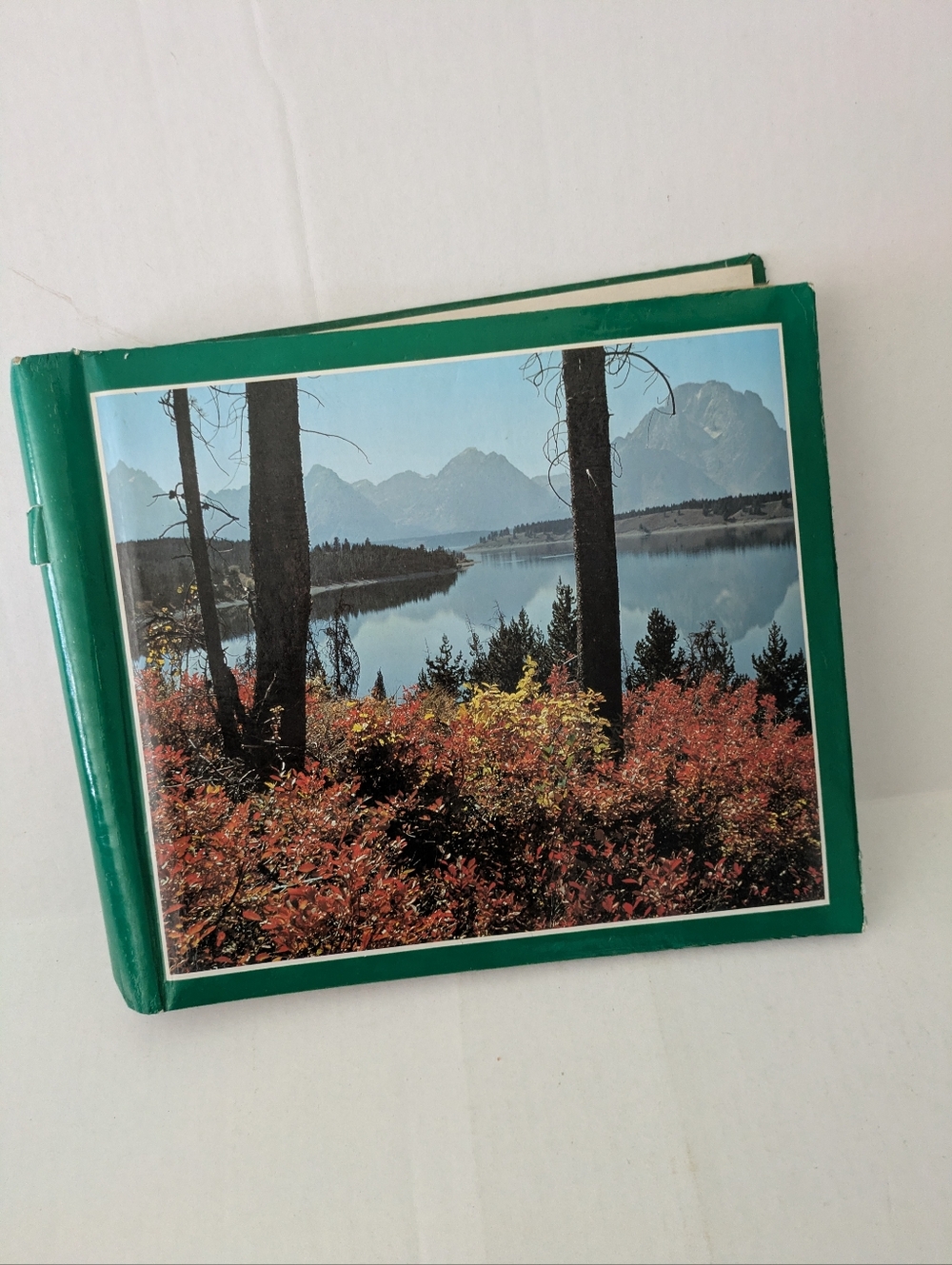 Vintage photo/scrapbook album